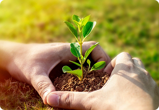environment-sustainability
